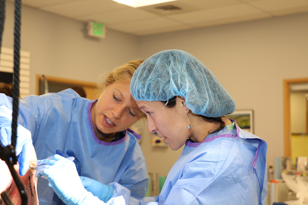 Dr. Mia Hagen teaching at the Artrhoscopy Boot Camp
