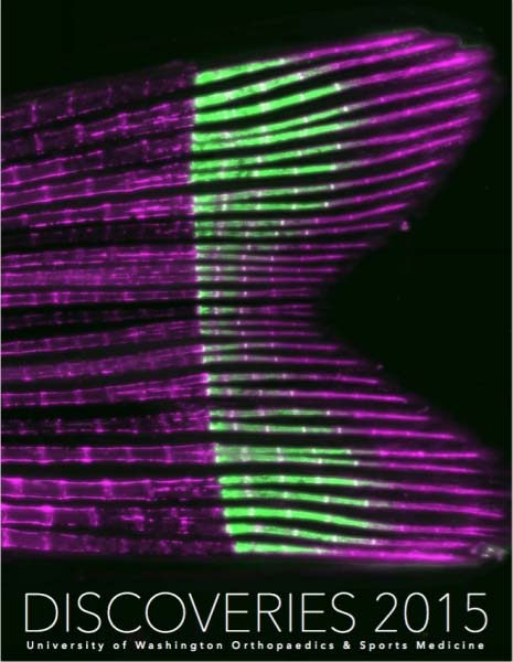 Research Report 2015