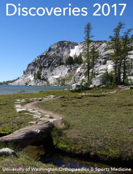 Discoveries Research Report 2017