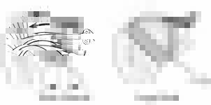 Reverse Total Shoulder Reverse Total Shoulder