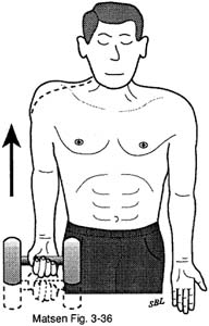 Fig. 5 - Home Exercises for the Unstable Shoulder. Scapular Muscle Exercises. Shoulder Shrug