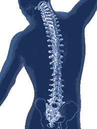 Spine image